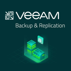 Veeam Backup & Replication Enterprise  per VM  (1VM/1M)