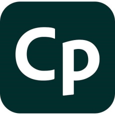 Captivate for teams MP ML GOV RNW 1 User, 12 Months, Level 2, 10-49 Lic Captivate for teams MP ML GOV RNW 1 User, 12 Months, Level 2, 10-49 Lic