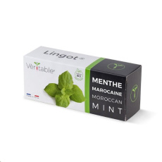 Véritable Lingot Marocká máta - BIO Véritable Lingot Marocká máta - BIO