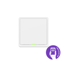 Tesla Smart Switch ZigBee Tesla Smart Switch ZigBee