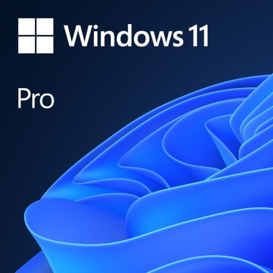 PROMO 10+1 Windows 11 Pro 64Bit CZ OEM PROMO 10+1 Windows 11 Pro 64Bit CZ OEM