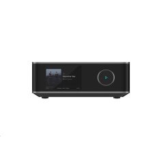 WiiM Amp Ultra Grey WiiM Amp Ultra Grey