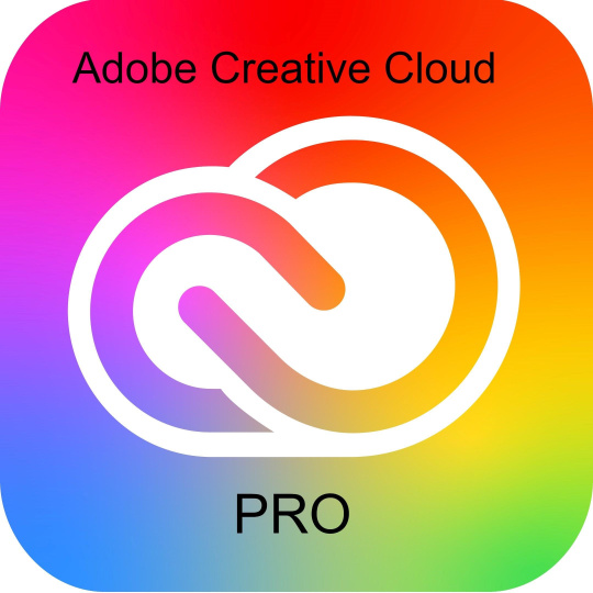 Adobe Creative Cloud Pro for teams MP ML (+CZ) GOV 1 User, 12 Months, Level 3, 50 - 99 Lic