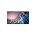Philips hospitality 50" 50BFL2114/12