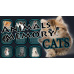 Animals Memory: Cats (PC) klíč Steam