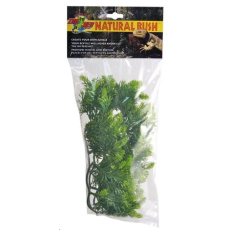 Rost.ter.ZMD Malaysian Fern M Rost.ter.ZMD Malaysian Fern M